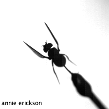 top view